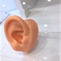 補聴器の「流行」ってあるの？